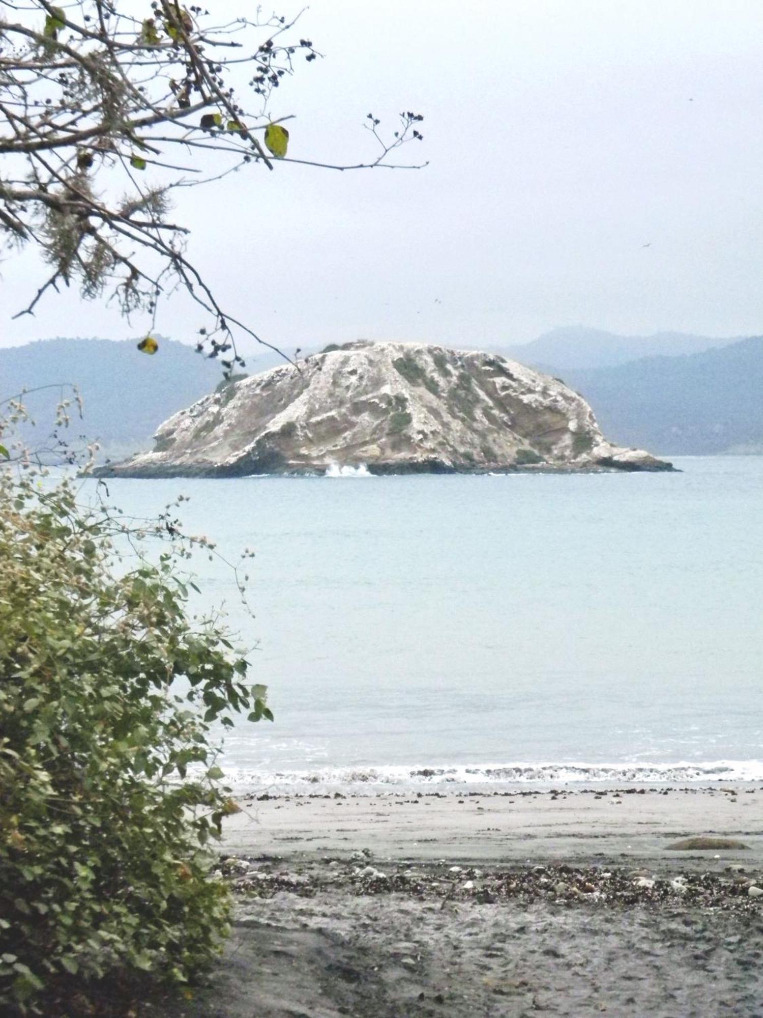 Hospedaje Algarrobo Мачалия Екстериор снимка
