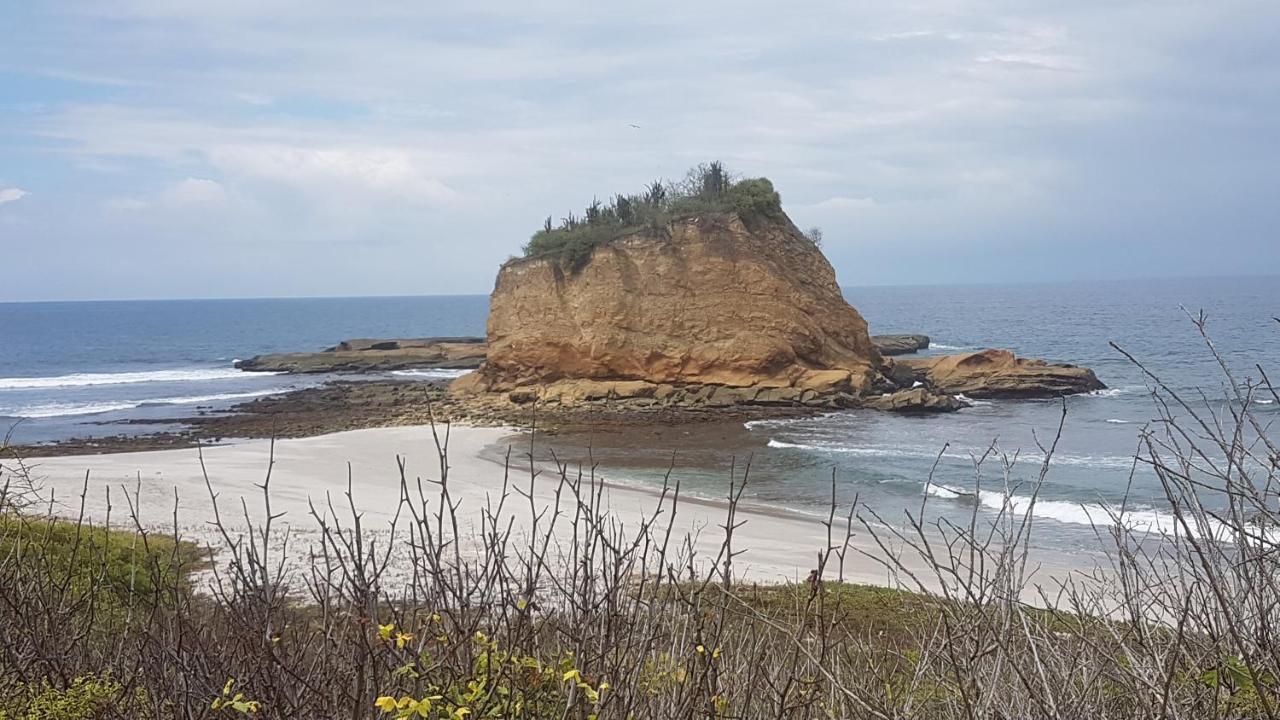 Hospedaje Algarrobo Мачалия Екстериор снимка