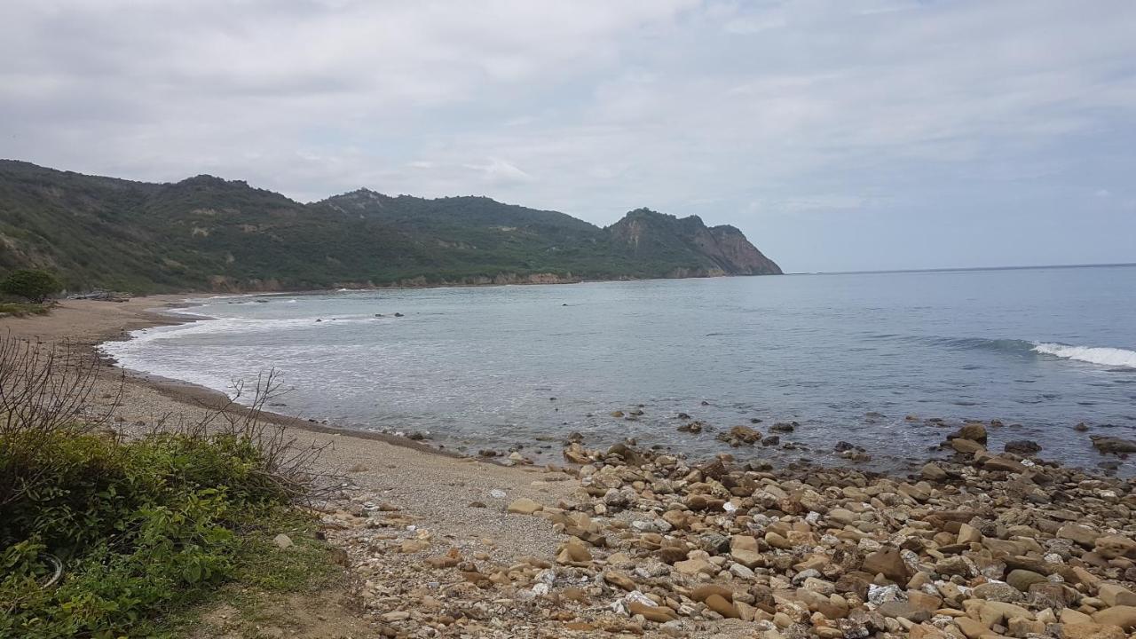 Hospedaje Algarrobo Мачалия Екстериор снимка