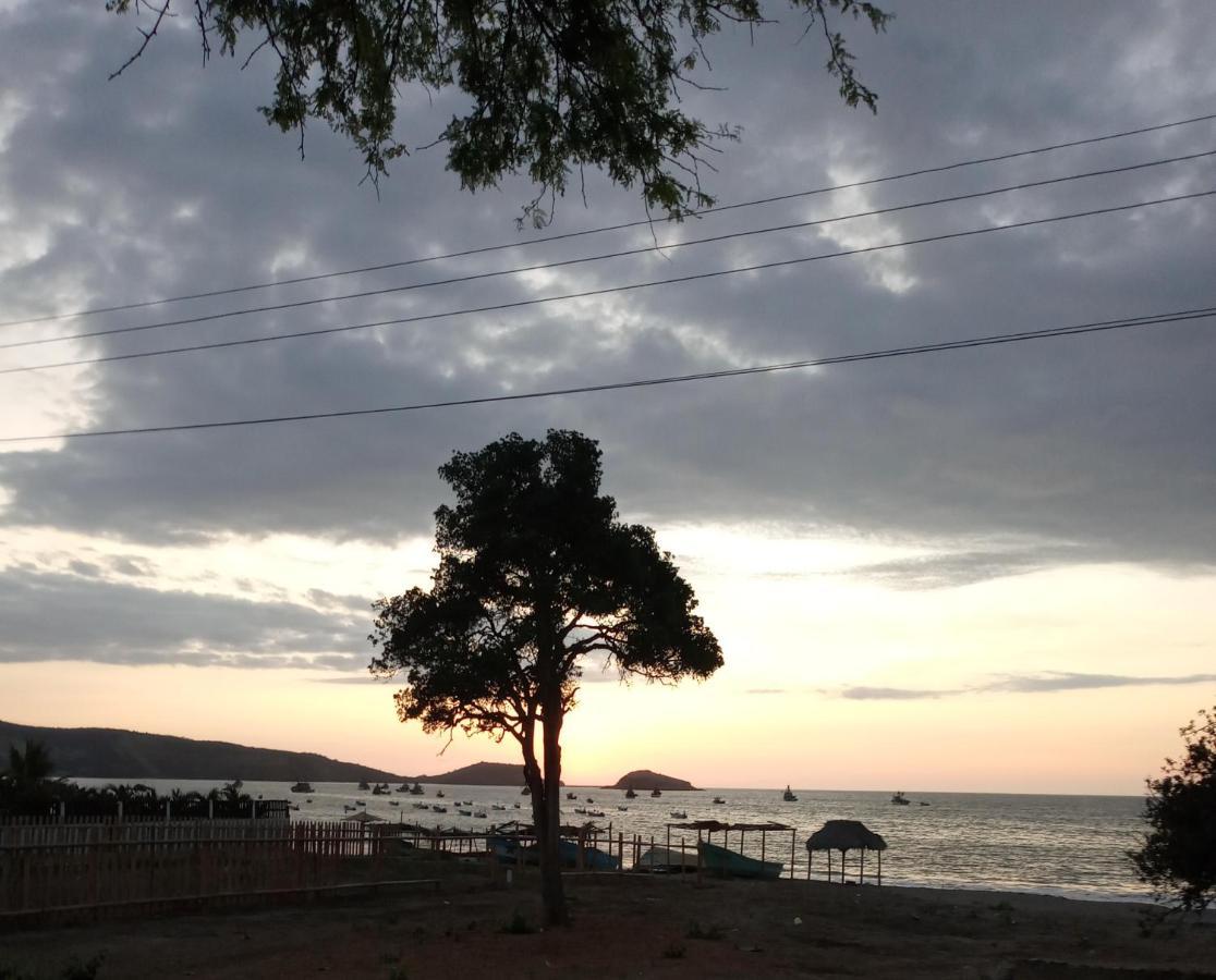 Hospedaje Algarrobo Мачалия Екстериор снимка
